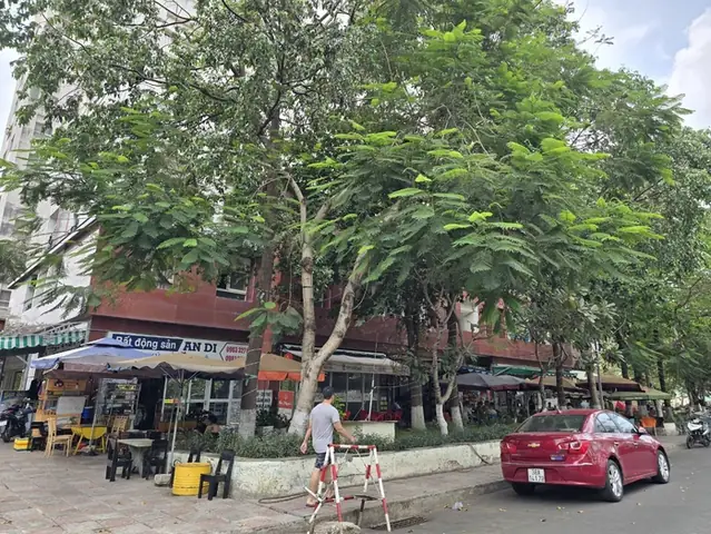 Chung Cư Thái An 3: Phân Tích Toàn Diện Vụ Cưỡng Chế Và Bài Học Quản Lý Đô Thị