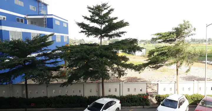 Đánh Giá Chung Cư Tín Phong 12 View Địa Chỉ: Tổng Hợp Các Dự Án Đáng Xem
