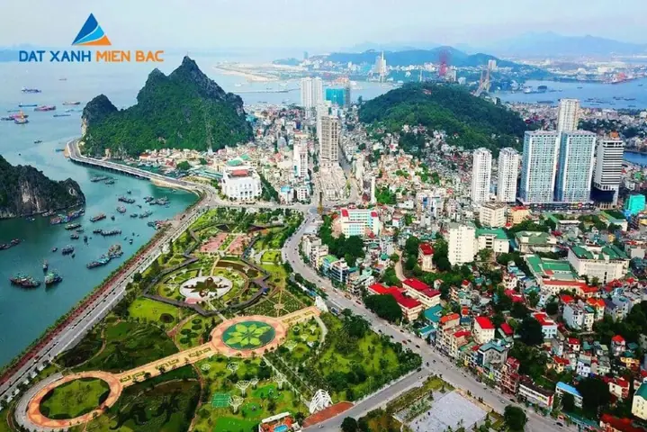 Chung Cư Trần Hưng Đạo Quảng Ninh: Thông Tin Chi Tiết Và Đánh Giá Toàn Diện