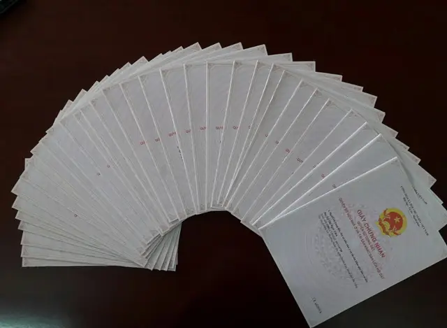 Đánh Giá Chung Cư Vicoland Đà Nẵng: Phân Tích Chi Tiết Về Dự Án Nhà Thu Nhập Thấp