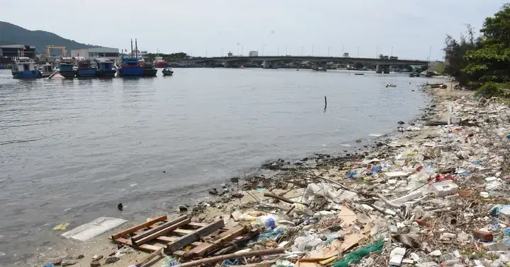 Đánh Giá Chung Cư Vịnh Mân Quang: Tổng Hợp Toàn Diện Về Vị Trí, Tiện Ích & Giá Trị