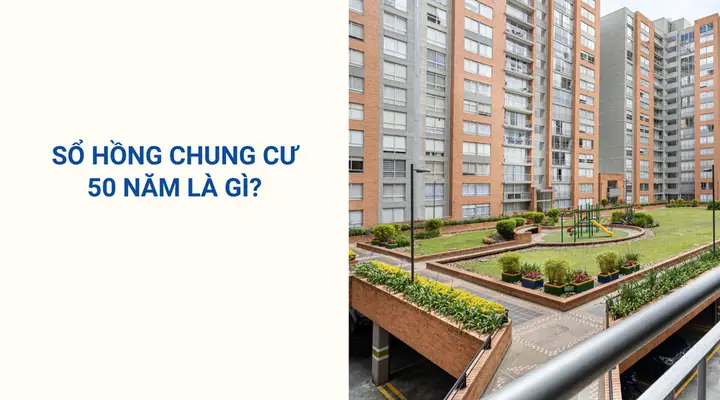 Có Nên Mua Chung Cư Thời Điểm Này? Đánh Giá Thực Tế Và Lời Khuyên