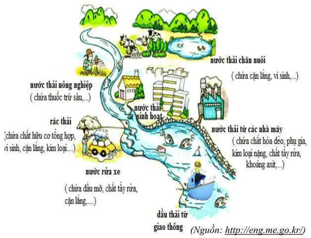Hệ Thống Thoát Nước Chung Cư Hoạt Động Như Thế Nào?