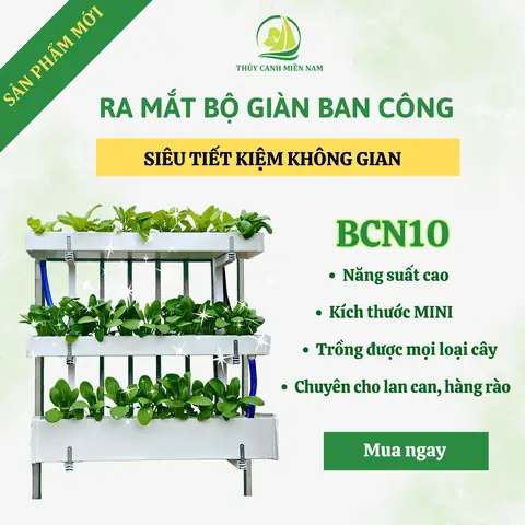 Kệ Trồng Rau Ban Công Chung Cư: Đánh Giá Toàn Diện & Bảng So Sánh