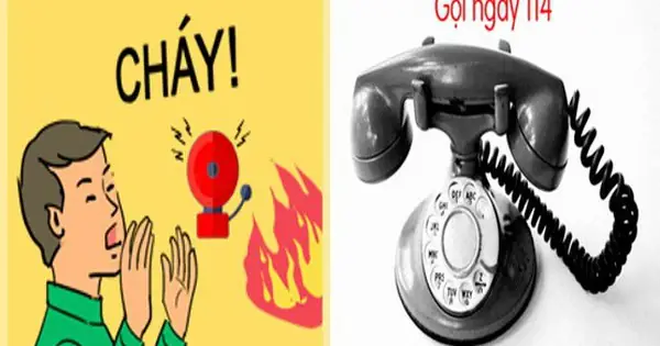 Làm Gì Khi Cháy Chung Cư: Cẩm Nang Ứng Phó Toàn Diện Và An Toàn Tuyệt Đối