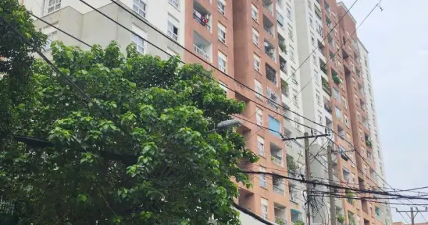 Lô B Chung Cư Bàu Cát 2 Thông Tin Chi Tiết Cần Biết