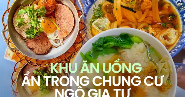 Đánh Giá Chi Tiết Chung Cư Ngô Gia Tự Lô S: Vị Trí, Tiện Ích Và Có Nên Đầu Tư?