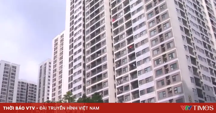 Lừa Đảo Cho Thuê Chung Cư: Phân Tích Vụ Án 30 Năm Tù Và Cách Phòng Tránh Lừa Đảo Cho Thuê Chung Cư: Phân Tích Vụ Án 30 Năm Tù Và Cách Phòng Tránh