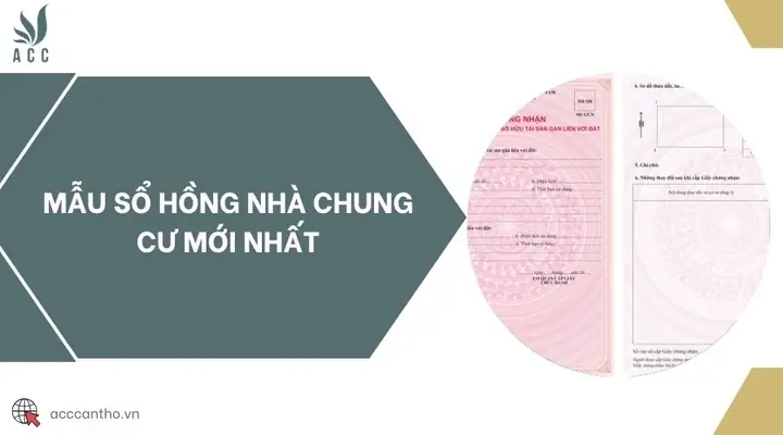 Sổ Hồng Chung Cư Là Gì? Mẫu Mới Nhất 2025 & Lưu Ý Quan Trọng