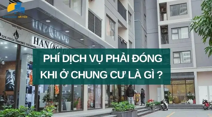 Phí Chung Cư Hà Nội: Tổng Hợp Đầy Đủ Và Mẹo Kiểm Tra