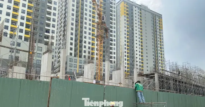 Quy Định Về Diện Tích Căn Hộ Chung Cư Là Gì?
