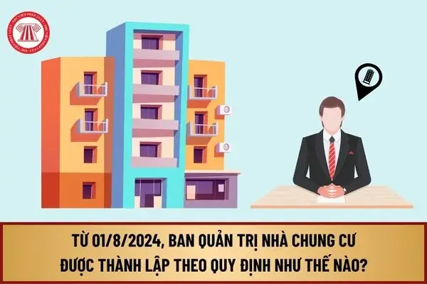 Thủ Tục Thành Lập Ban Quản Trị Chung Cư: Hướng Dẫn Chi Tiết Cho Cư Dân
