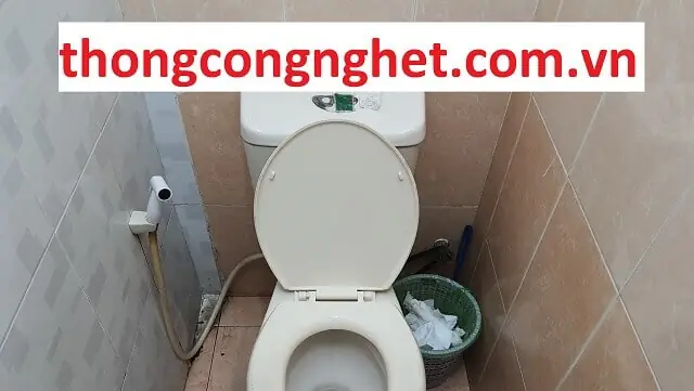Hướng Dẫn Chi Tiết Cách Thông Bồn Cầu Chung Cư: Từ Tự Làm Đến Thuê Thợ