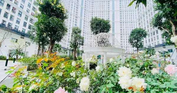 Thuê Chung Cư Mhdi Đình Thôn Có Đáng Tiền Không? Đánh Giá Chi Tiết Từ A-z