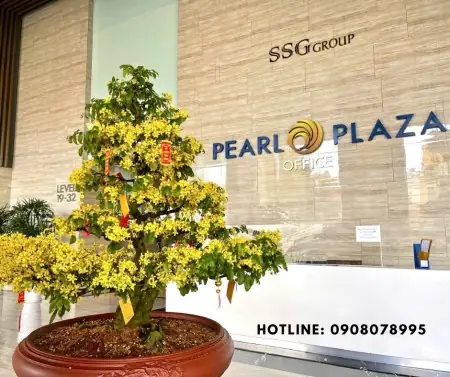 Thuê Căn Hộ Pearl Plaza: Đánh Giá Toàn Diện Và Lời Khuyên Thực Tế