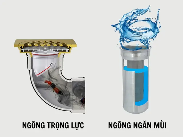 Hướng Dẫn Toàn Tập Xử Lý Mùi Hôi Nhà Vệ Sinh Chung Cư Hướng Dẫn Toàn Tập Xử Lý Mùi Hôi Nhà Vệ Sinh Chung Cư
