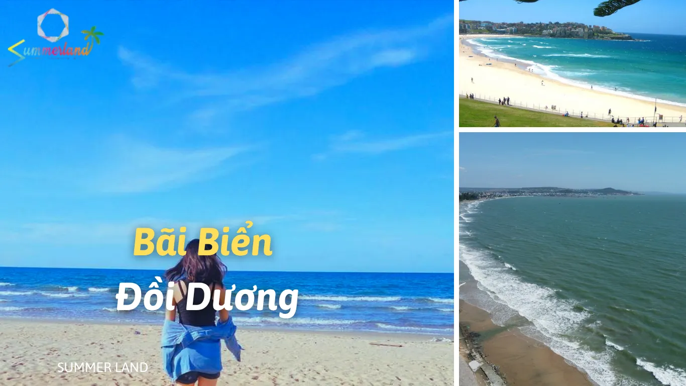 Huyện Hàm Tân Bình Thuận: Khám phá vẻ đẹp bất tận của “Bãi Biển Đồi Dương”