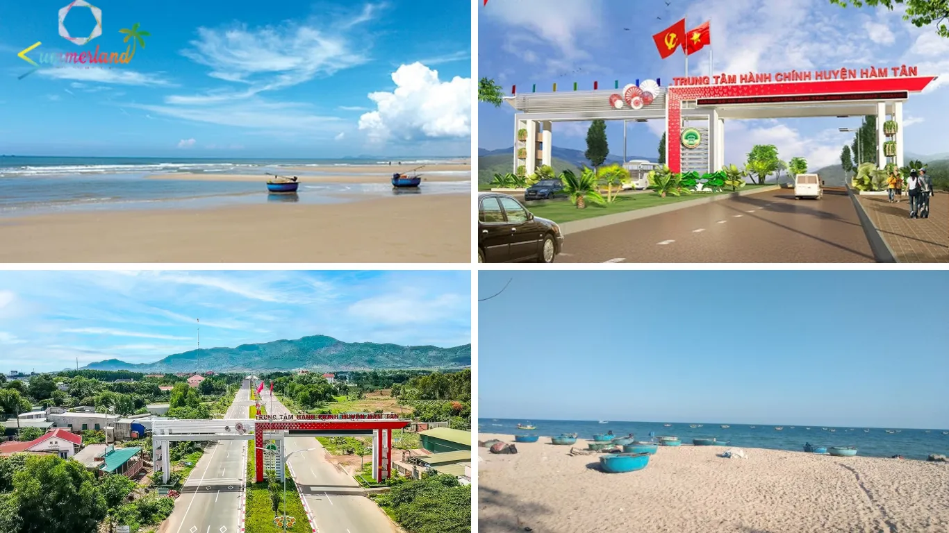 Bãi biển hoang sơ tại Huyện Hàm Tân Bình Thuận với cát trắng và hàng phi lao xanh mát