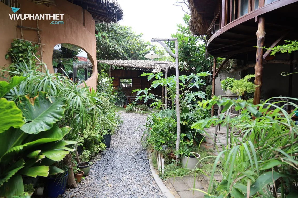 Lối đi nhỏ len lỏi giữa những hàng cây xanh mướt tại Mơ Hoàng Cafe