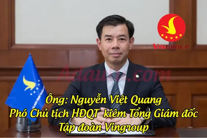Nguyễn Việt Quang Vingroup là Ai? Tổng Quan Sự Nghiệp và Dấu Ấn Lãnh Đạo
