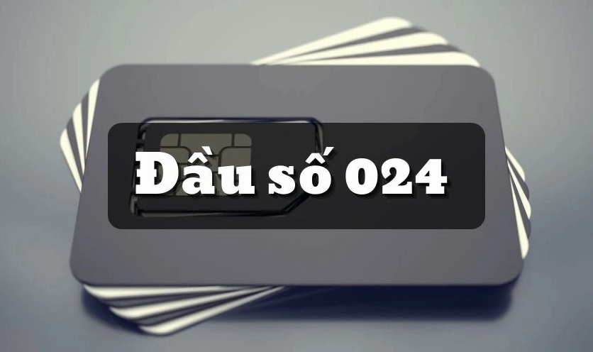 0024-la-ma-vung-nuoc-nao-thong-tin-chi-tiet-va-cach-xu-ly_241