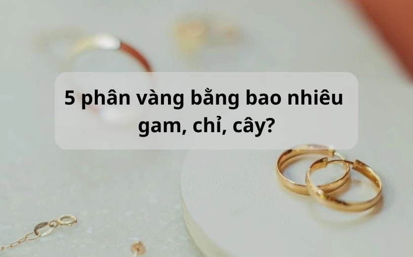 5-phan-vang-9999-bao-nhieu-tien-nam-2026-cap-nhat-gia-moi-nh_385
