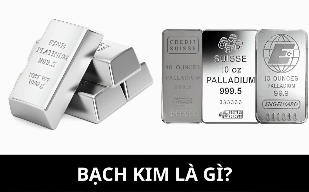 bach-kim-bao-nhieu-1-chi-cap-nhat-gia-moi-nhat-2026_251