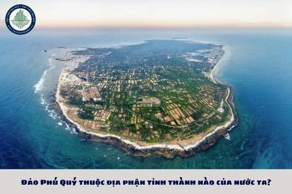 Đảo Phú Quý Thuộc Tỉnh Nào? Khám Phá Đảo Ngọc Của Việt Nam Bãi biển tuyệt đẹp trên đảo Phú Quý