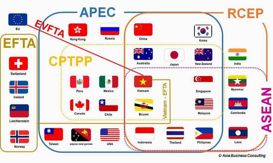 EVFTA Gồm Những Nước Nào? Phân Tích Toàn Diện Hiệp Định Bản đồ các quốc gia có FTA với Việt Nam