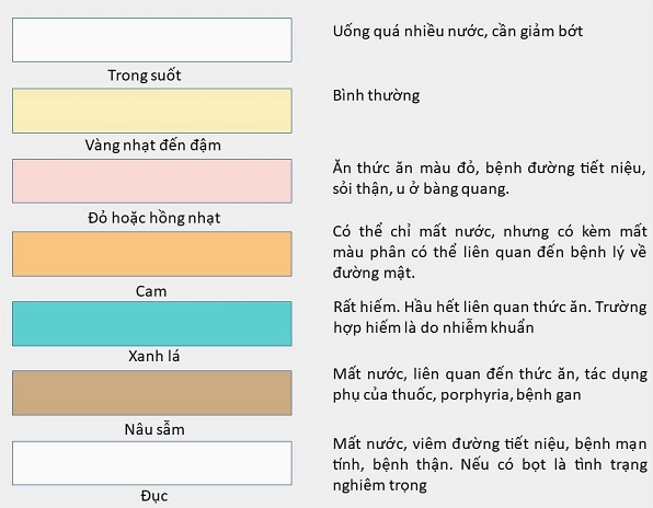 Nước tiểu bình thường: Màu sắc, mùi, tần suất và dấu hiệu bất thường Bảng màu nước tiểu tham khảo