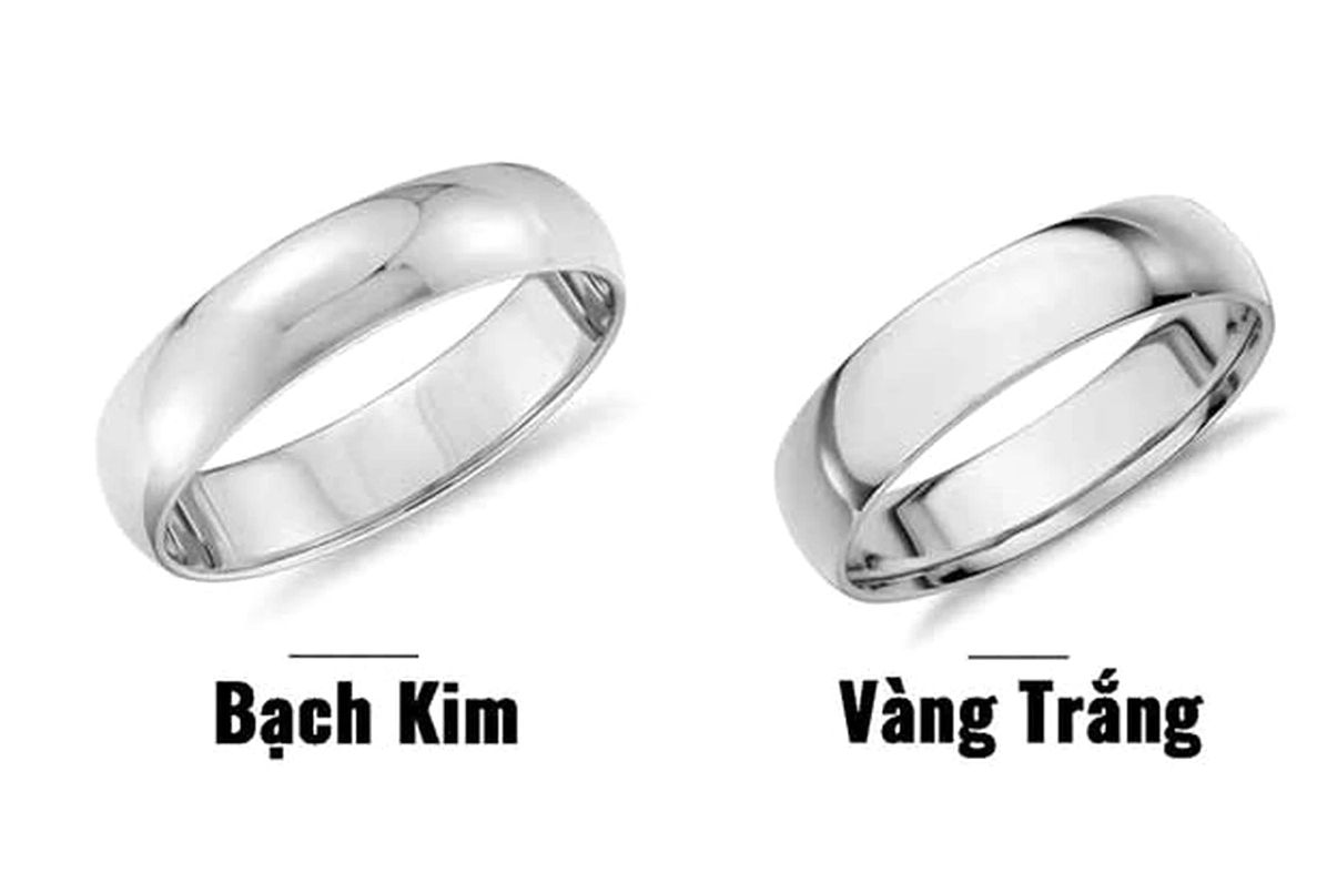 Giá Bạch Kim 2026: Dự báo và Xu hướng Đầu tư Biến động giá bạch kim