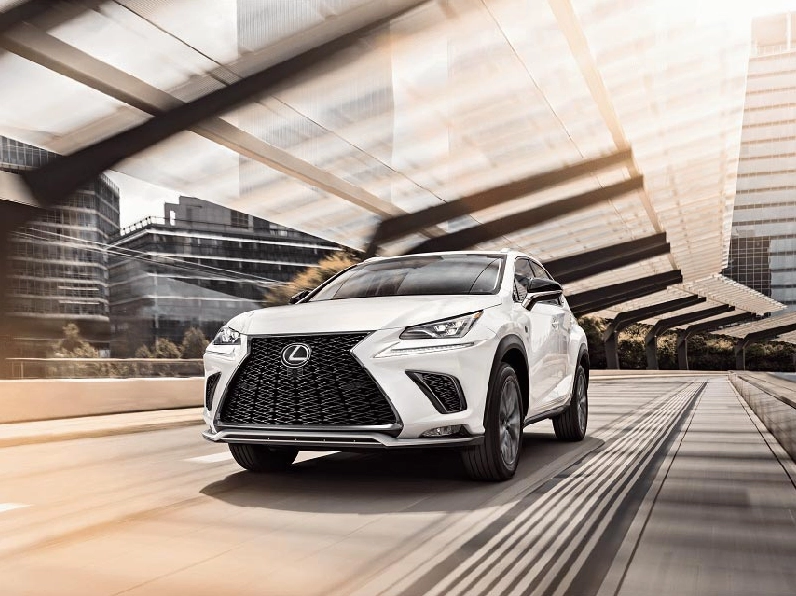 Lexus của nước nào? Hé lộ nguồn gốc và sự thật bất ngờ 2026 Biểu đồ doanh số bán hàng của Lexus
