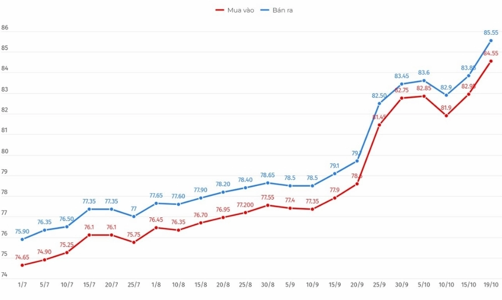Biểu đồ dự báo giá vàng năm 2024