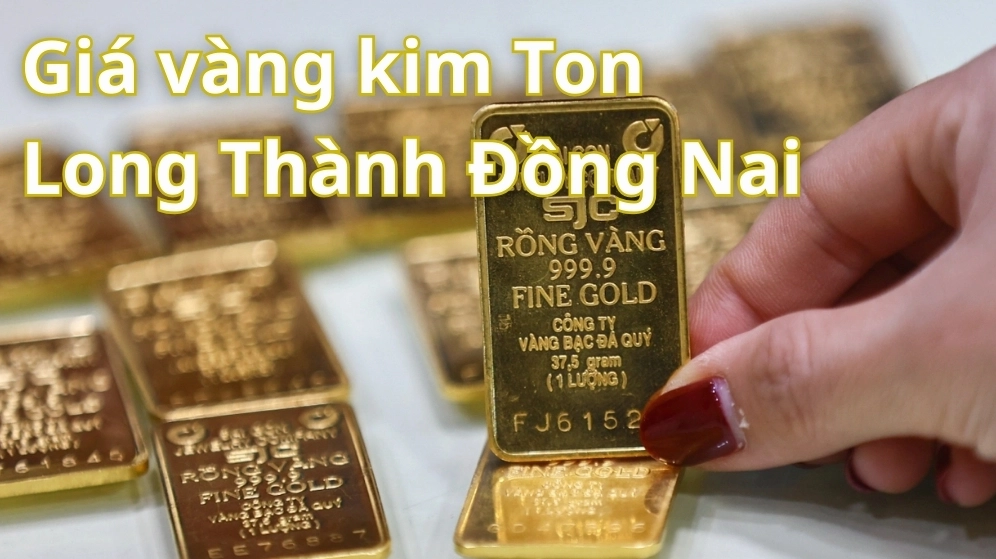 Giá Vàng 9999 Kim Tôn Hôm Nay: Cập Nhật & Dự Báo 2026 Biểu đồ giá vàng 9999 Kim Tôn hôm nay