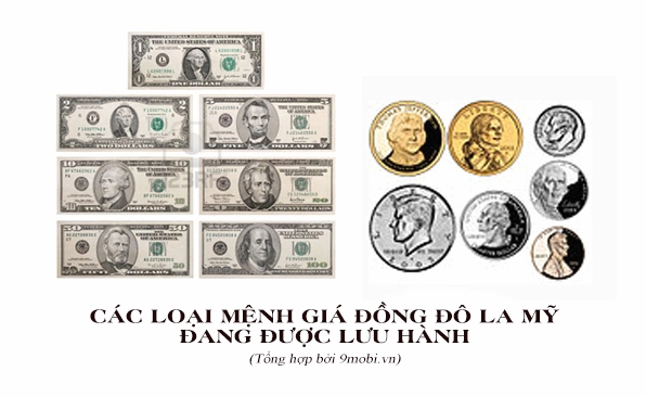 Biểu đồ thể hiện sự biến động tỷ giá USD/VND