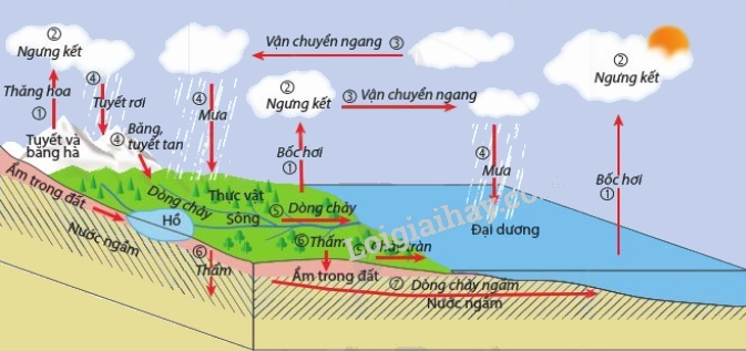 Nước Trong Thủy quyển: Dạng Nào Chiếm Ưu Thế Nhất Hiện Nay? Biểu đồ vòng tuần hoàn của nước