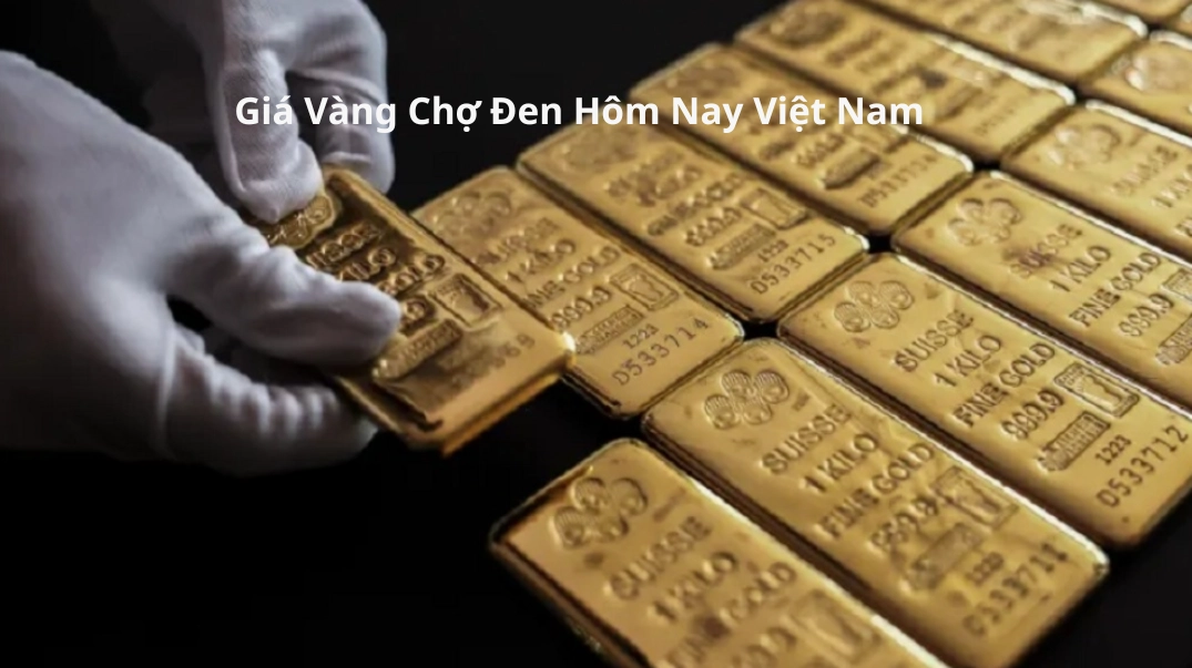 Giá vàng chợ đen hôm nay: Biến động và dự báo 2026 Biểu đồ xu hướng vàng vật chất