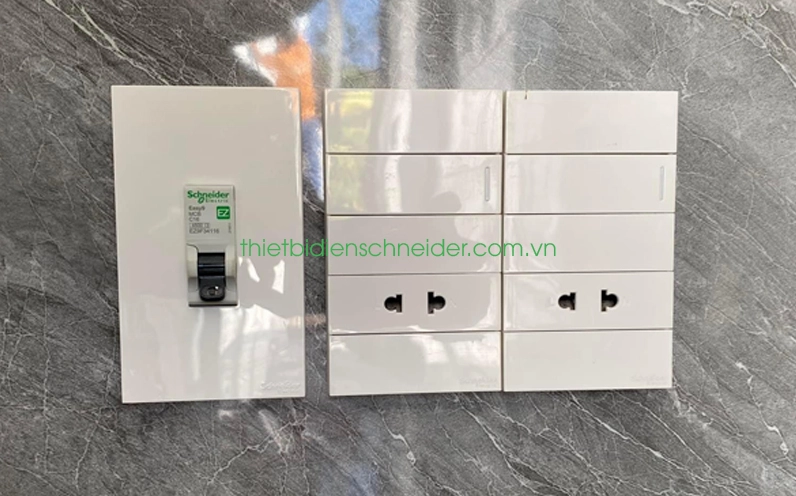 Schneider của nước nào? Giải mã nguồn gốc và lịch sử tập đoàn Các giải pháp thiết bị điện Schneider cho mọi công trình