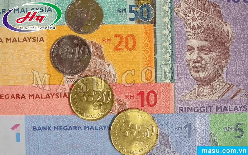 MYR là tiền nước nào? Tất tần tật về Đồng Ringgit Malaysia 2026 Các mệnh giá tiền Malaysia