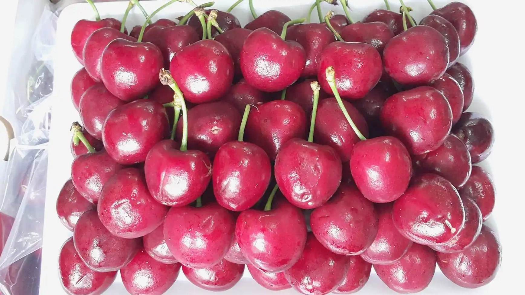 Cận cảnh quả cherry chile với các khía dọc