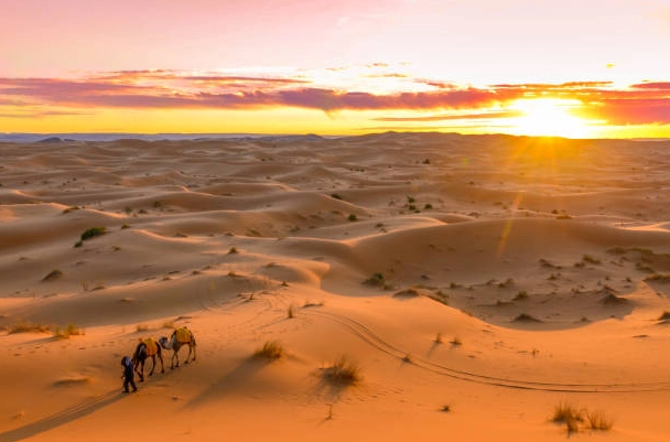 Sa Mạc Sahara Ở Nước Nào? Khám Phá Vùng Đất Rộng Lớn Nhất Thế Giới Cảnh quan rộng lớn của Sa mạc Sahara
