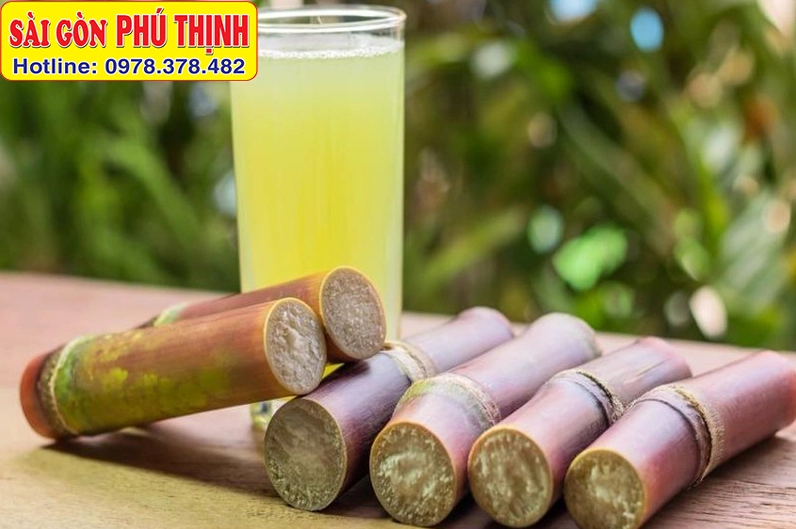 Cây mía tươi và ly nước mía