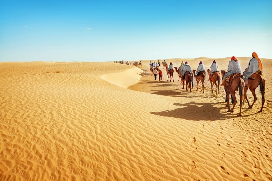 Sa Mạc Sahara Ở Nước Nào? Khám Phá Vùng Đất Rộng Lớn Nhất Thế Giới Cồn cát vàng óng ả tại Sa mạc Sahara