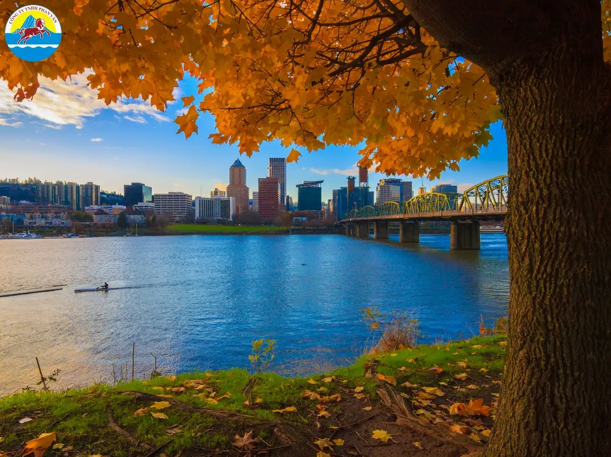Con đường rợp bóng cây xanh ở Portland