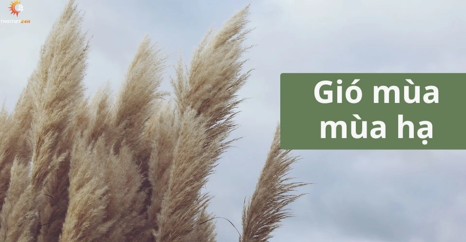 Gió Mùa Hạ Ở Việt Nam: Thời Gian Hoạt Động & Đặc Điểm Chi Tiết 2026 Dự báo gió mùa hạ năm 2026