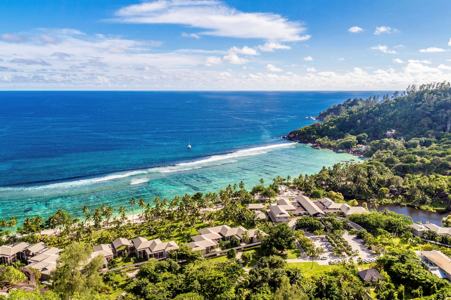 Dừa đôi Coco de Mer đặc trưng của Seychelles