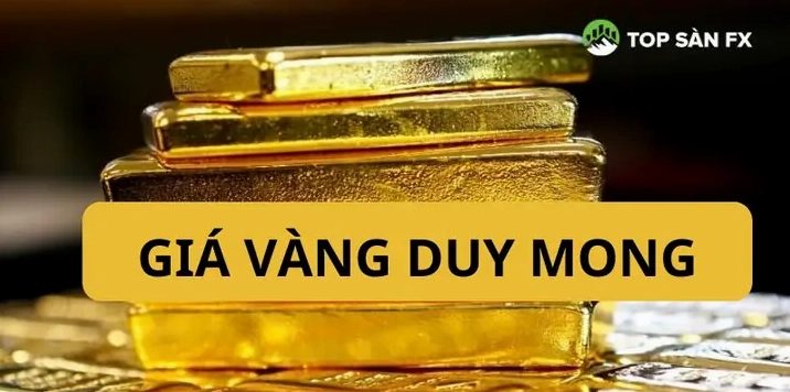 gia-vang-duy-mong-hom-nay-2026-cap-nhat-moi-nhat_564