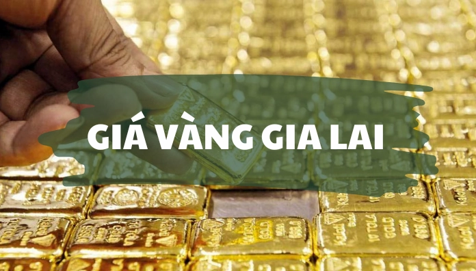 gia-vang-gia-lai-hom-nay-2026-bien-ong-va-du-bao-moi-nhat_205