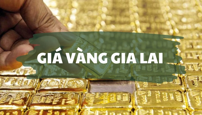 gia-vang-hom-nay-tai-pleiku-2026-du-bao-bien-ong-va-loi-khuy_980
