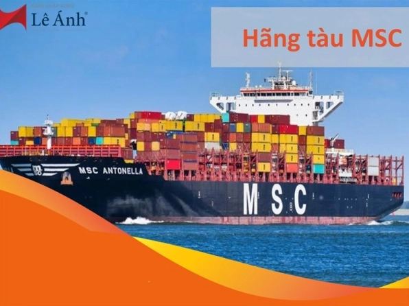 hang-tau-msc-cua-nuoc-nao-thong-tin-chi-tiet-2026_846
